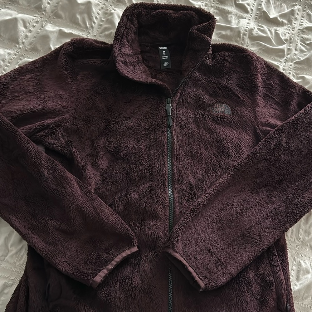 Fluffy North Face jacket